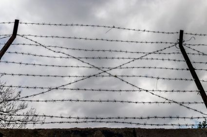 Comment fonctionne une clôture électrique ?